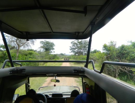 Akagera National Park: The Real Safari Zone