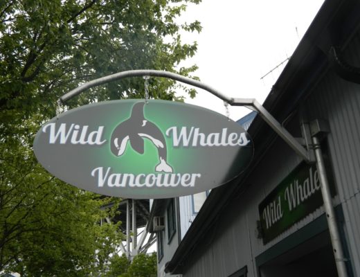 The Wonders of Whale Watching: Vancouver